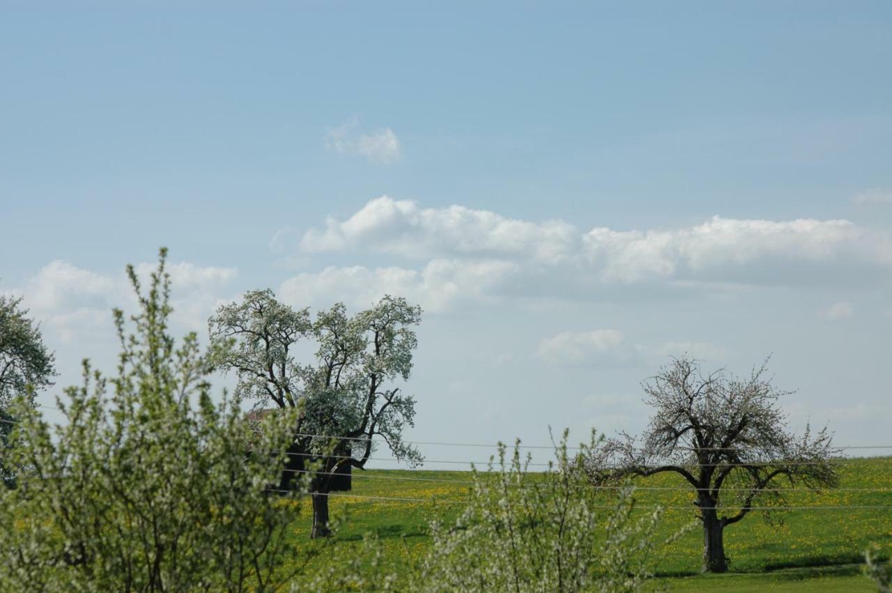 Appartamento Altes Schulhaus Argenbuhl Esterno foto